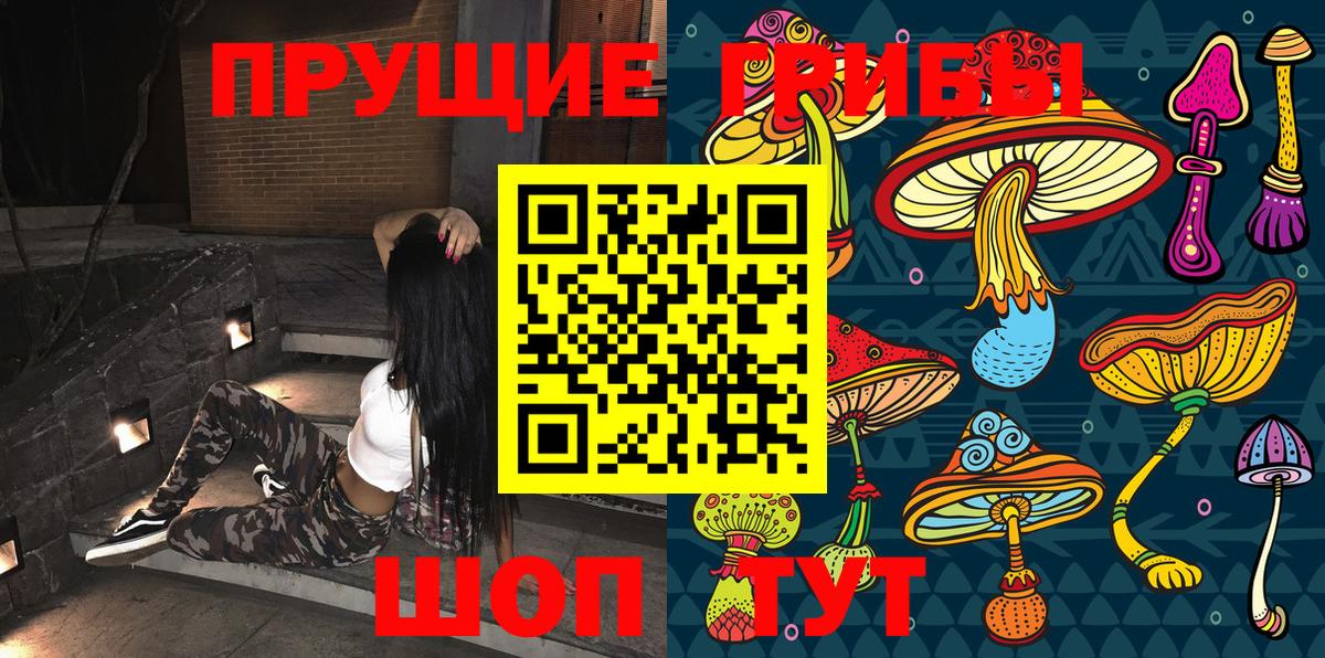 Галлюциногенные грибы прущие грибы Кирово-Чепецк