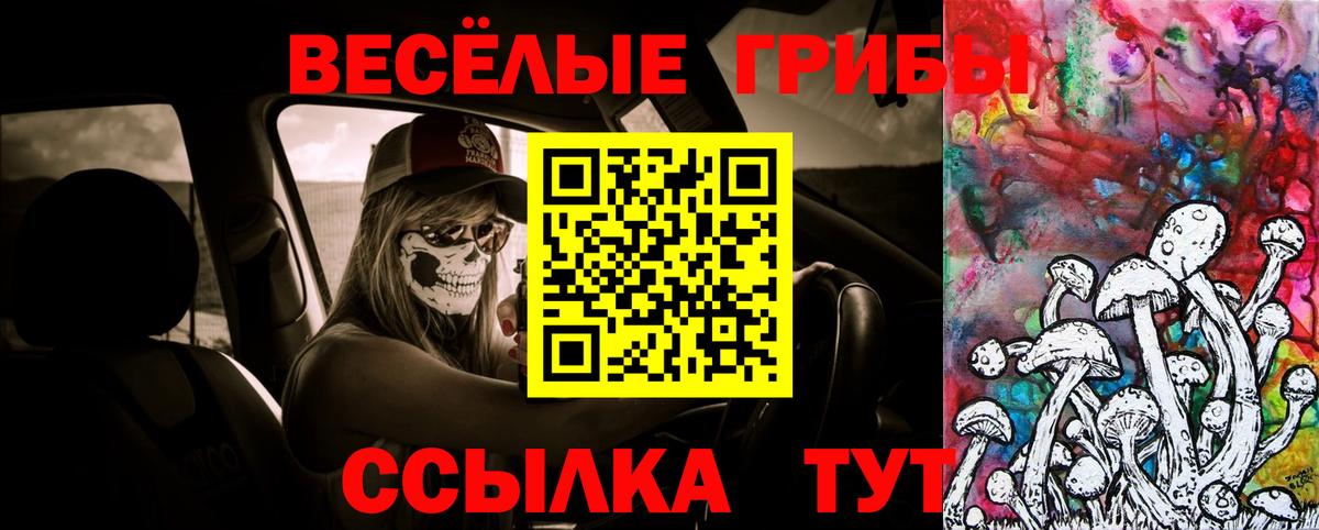 Кирово-Чепецк  Галлюциногенные грибы Psilocybe  Вход с VPN  Псилоцибиновые грибы Cubensis 